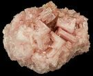 Pink Halite Crystal Plate - Trona, California #40552-1